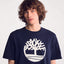 TB0A2C2R - T-shirt bio Brand Tree