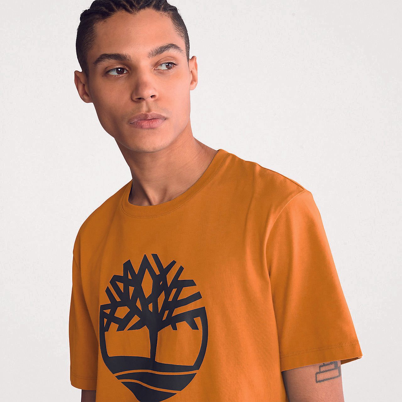 TB0A2C2R - T-shirt bio Brand Tree